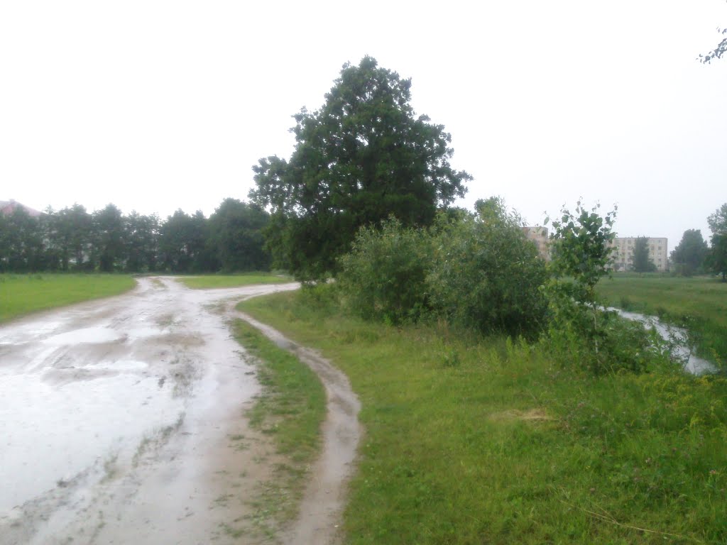 Дорога в черте города.