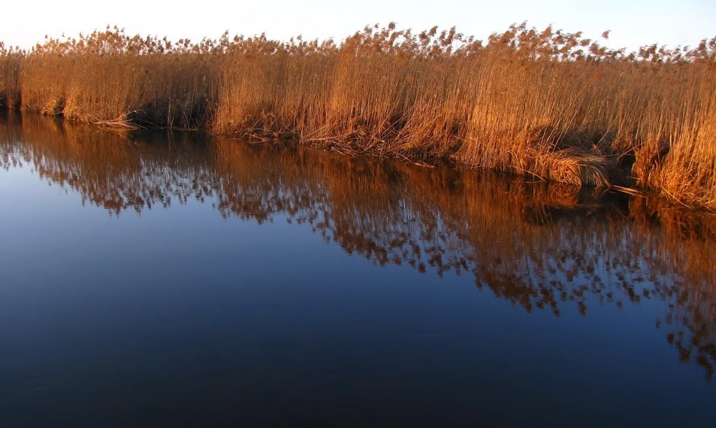Река Гривда. Ивацевичи. (Grivda river. Ivantsevichy)