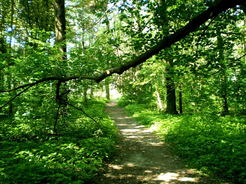 Парк Перамогі