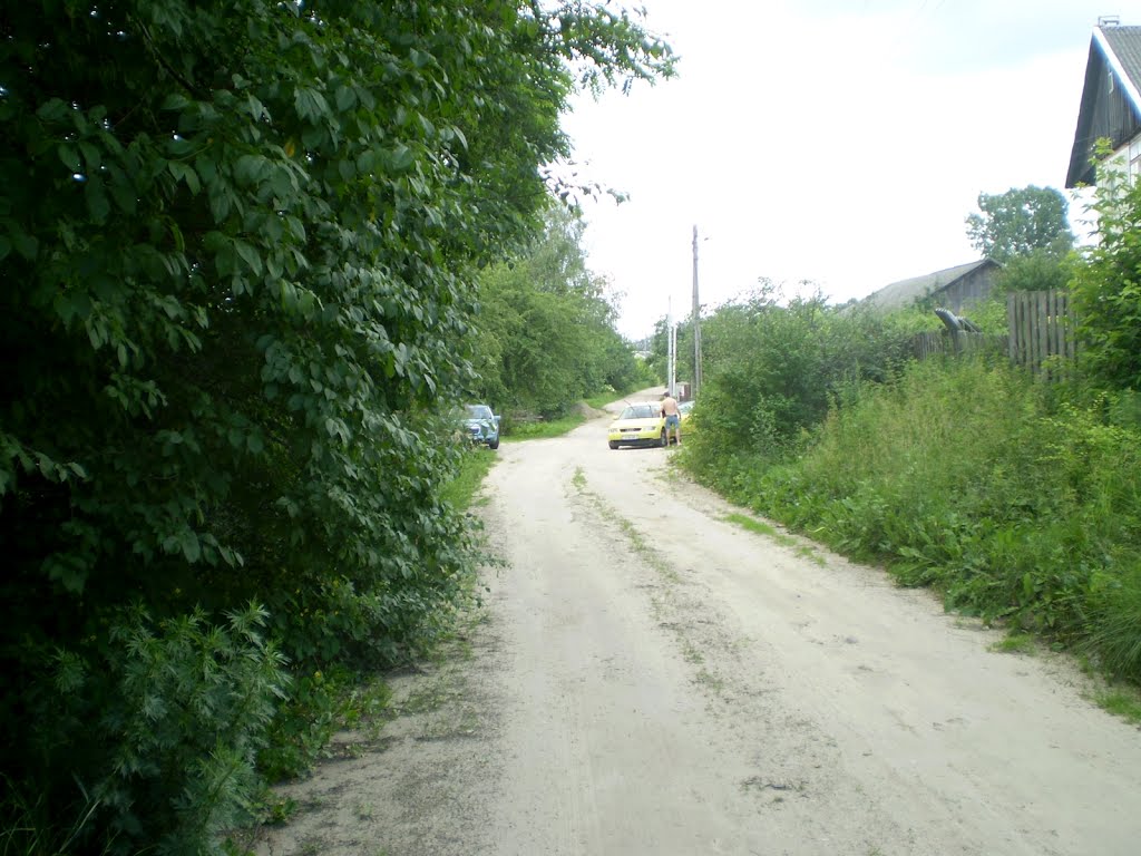 Вул. Заслонава