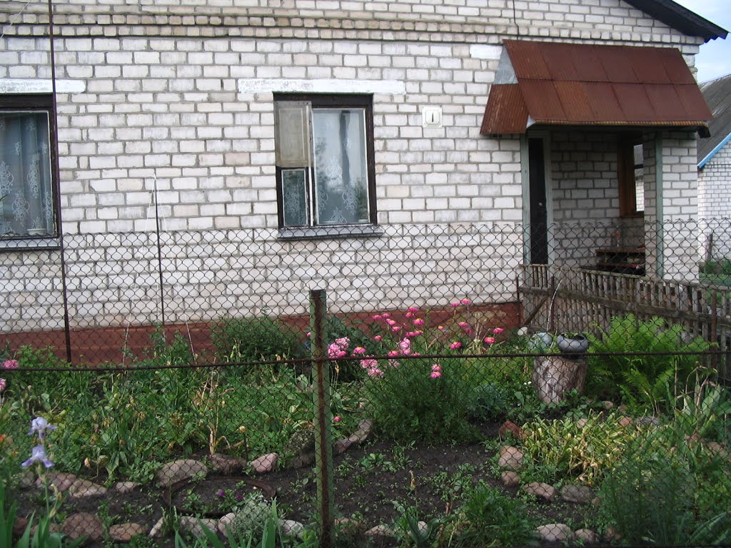 Цветник у дома.