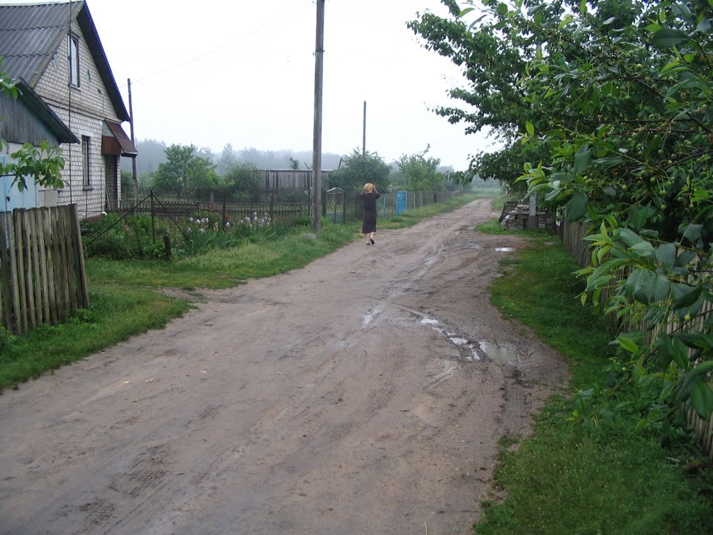 Улица в Халапье.