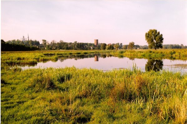 Каменец