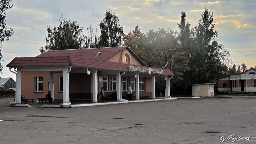 автовокзал г. Каменец