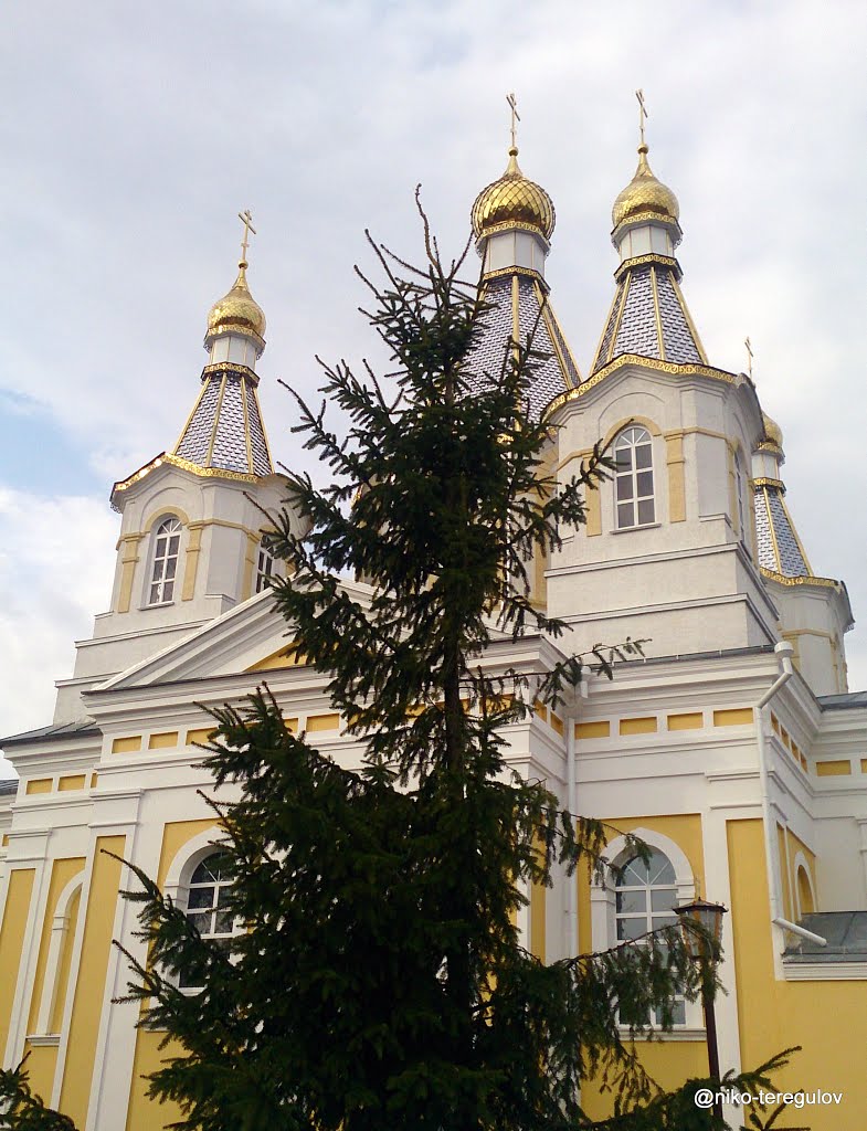 Свято Александро-Невский собор