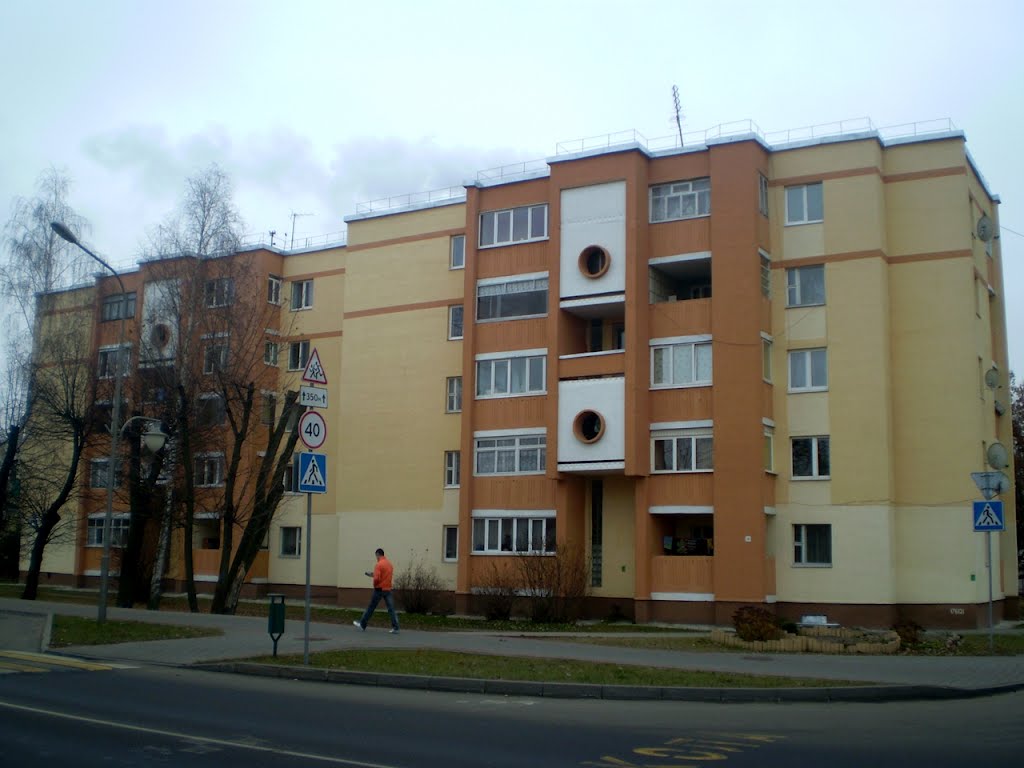 Адзін з дамоў па вул. Савецкай