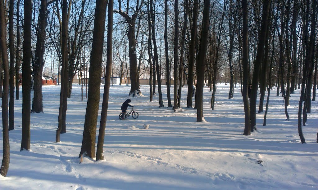 Кобрынскі парк