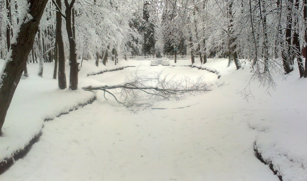 Кобрынскі парк зімой