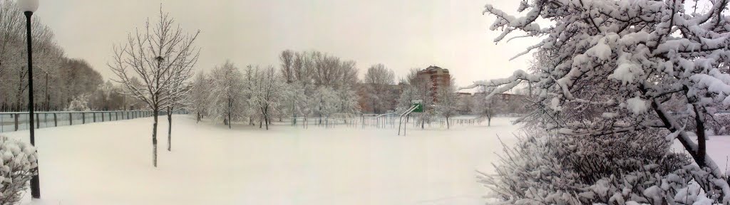 Спартыўная пляцоўка ліцэя сферы абслугоўвання