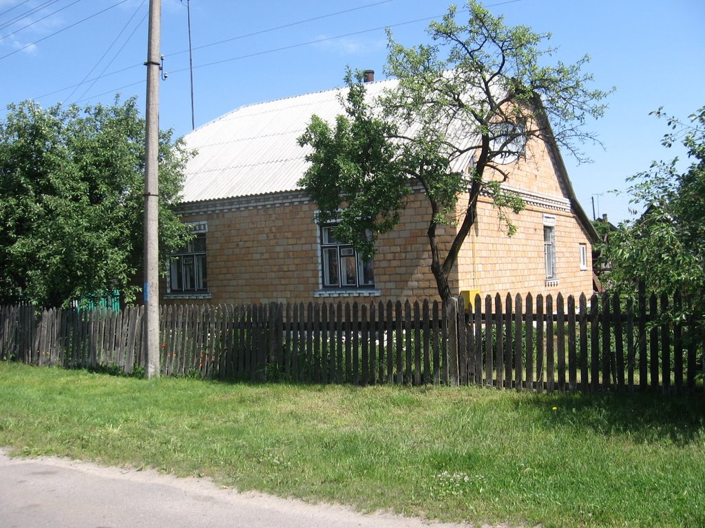 Дом на улице Гастелло 62