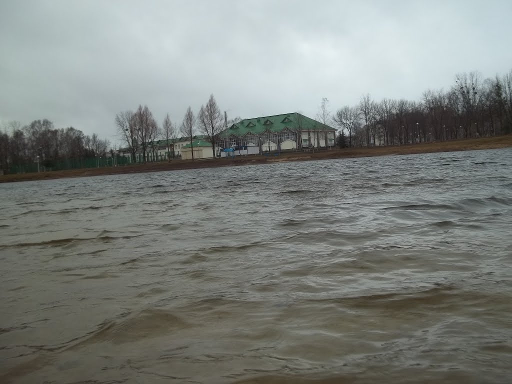 Озеро в парке