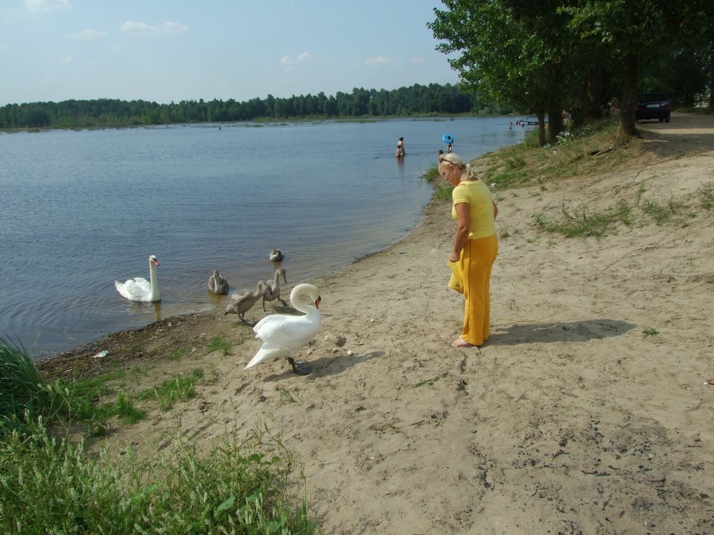 Подкормка