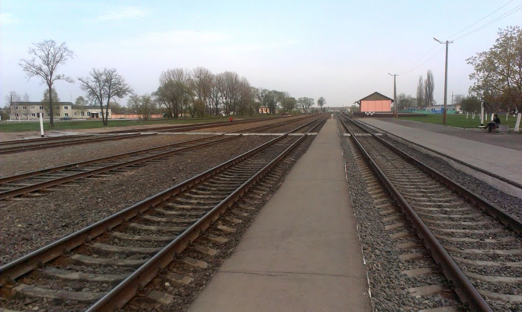 Агульны выгляд станцыі