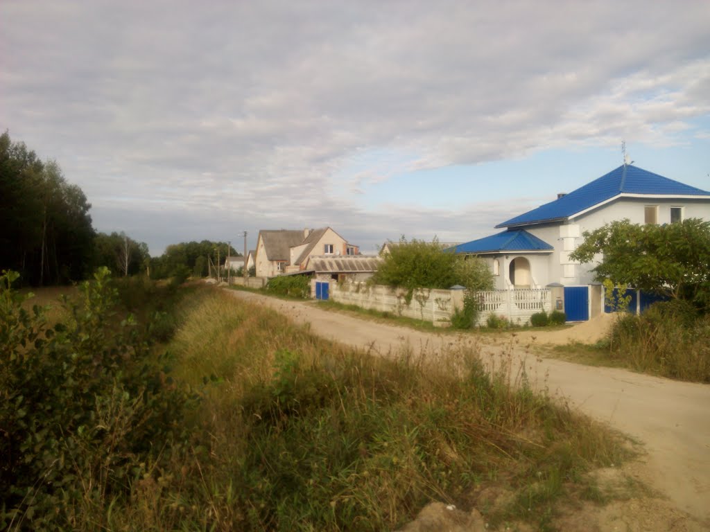 дома на ул. лактионова
