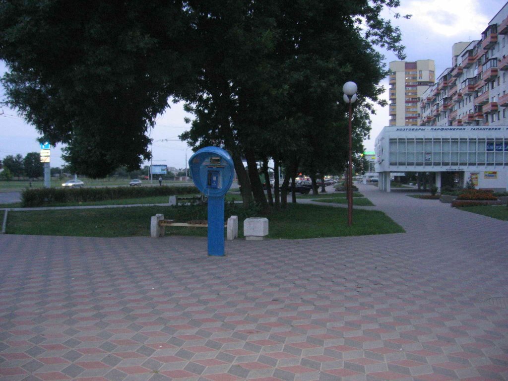 Blue Public Street Phone.