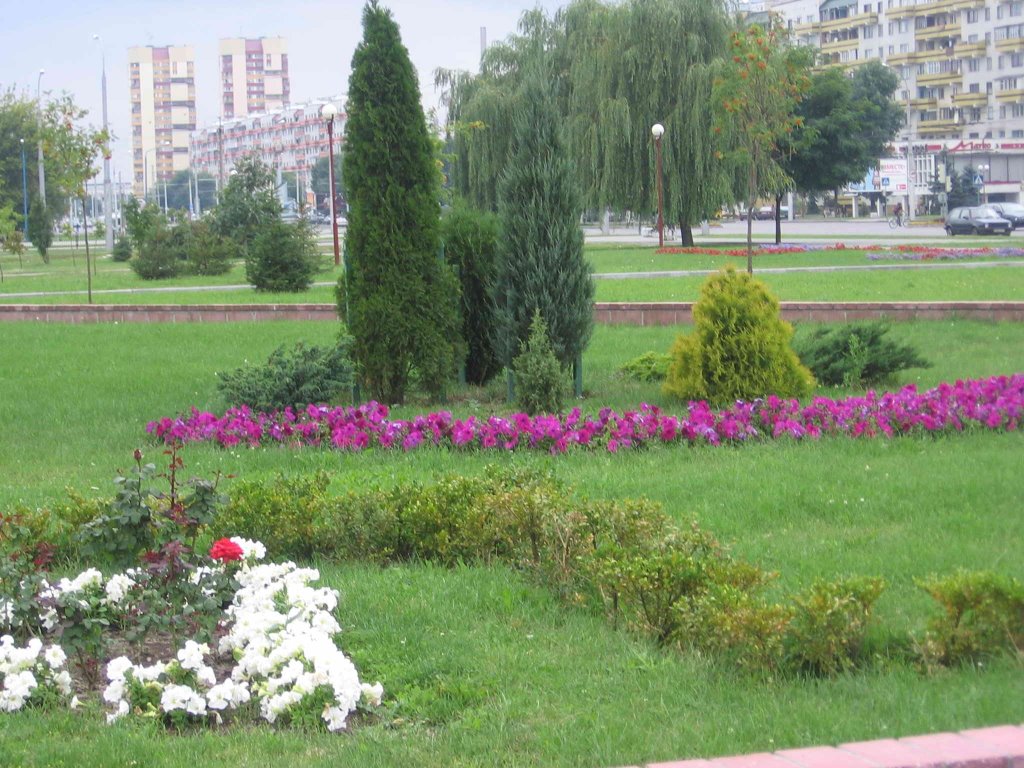 Nice Pink Flowers