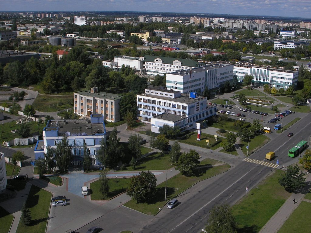 Constitution Street