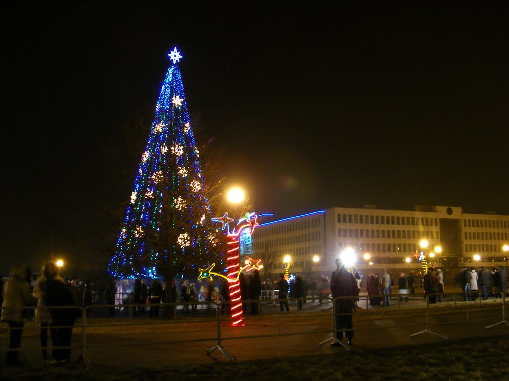 Новы 2012 год