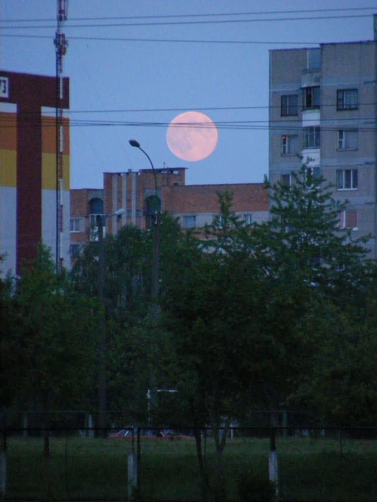 Поўня
