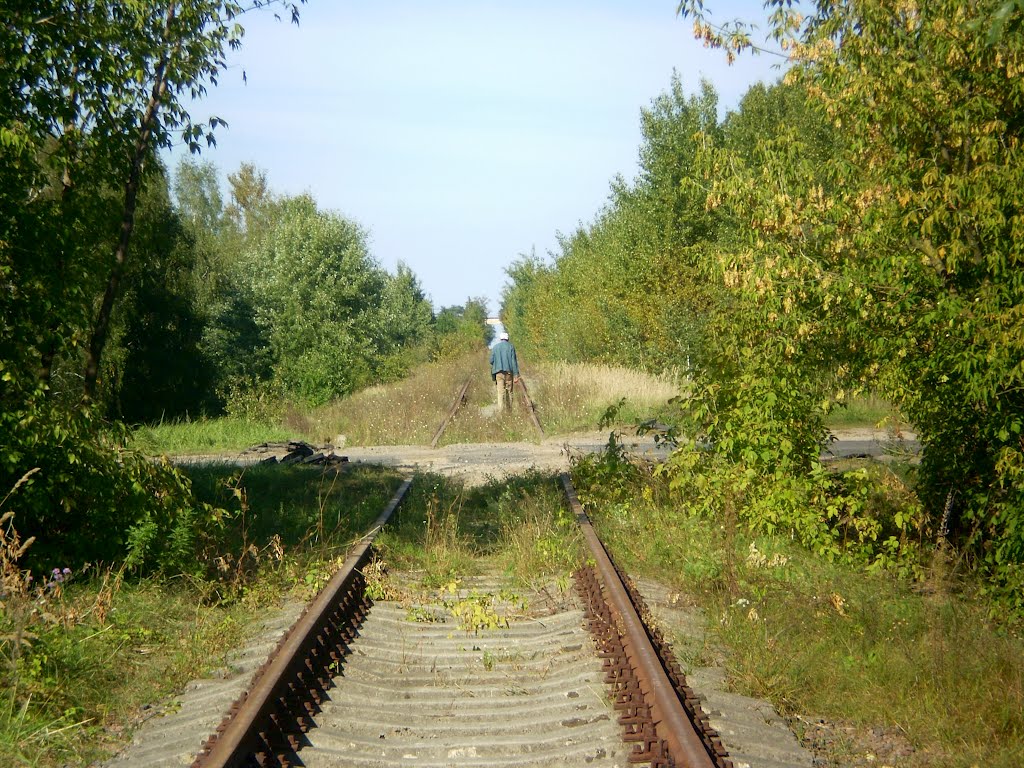 "Жыццё"