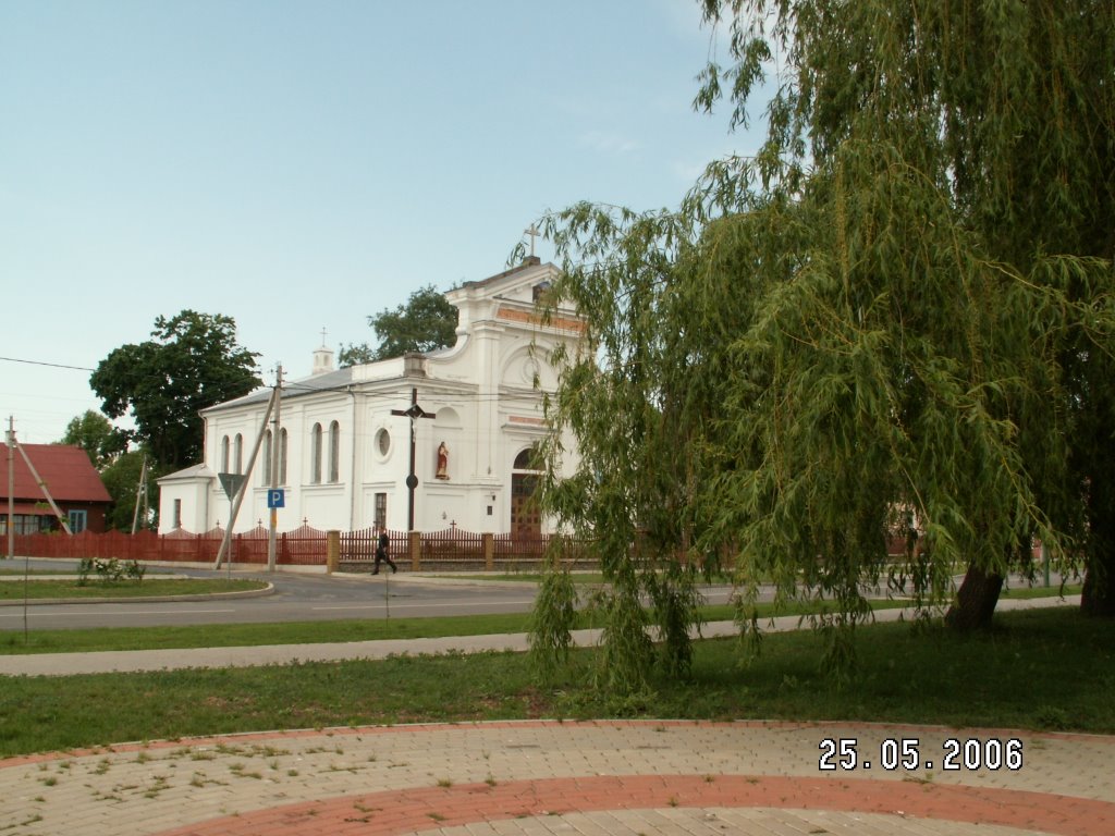 Roman catholic church
