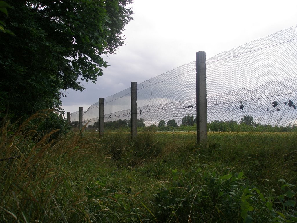Beside stadium