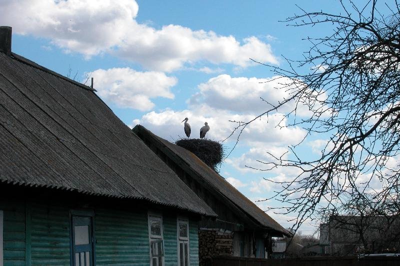 ul. Kalinowskiego