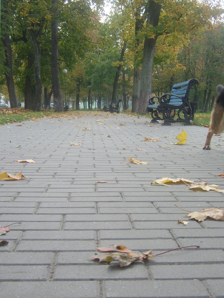 Парк в Пружанах