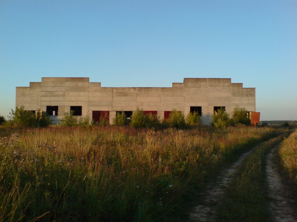 Пустующее здание завода "ЛЁС"  The thrown  Building