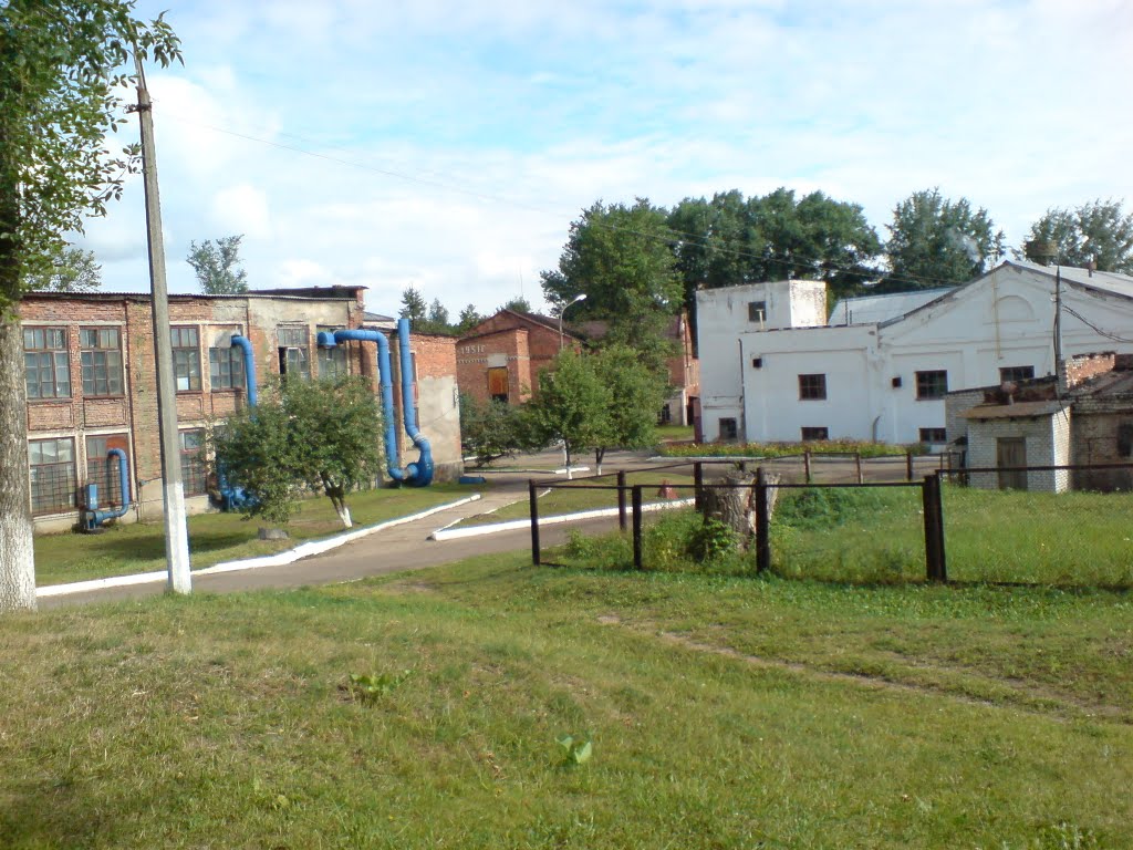 на территории завода "Лес"  In factory territory