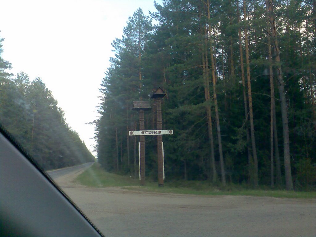 Povorot na sanatoryi Borovoe 102 km