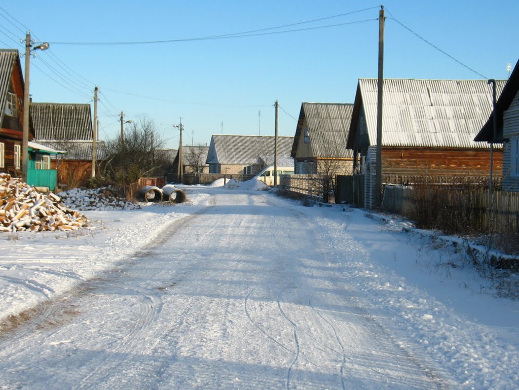 Citkova street in Biahomĺ