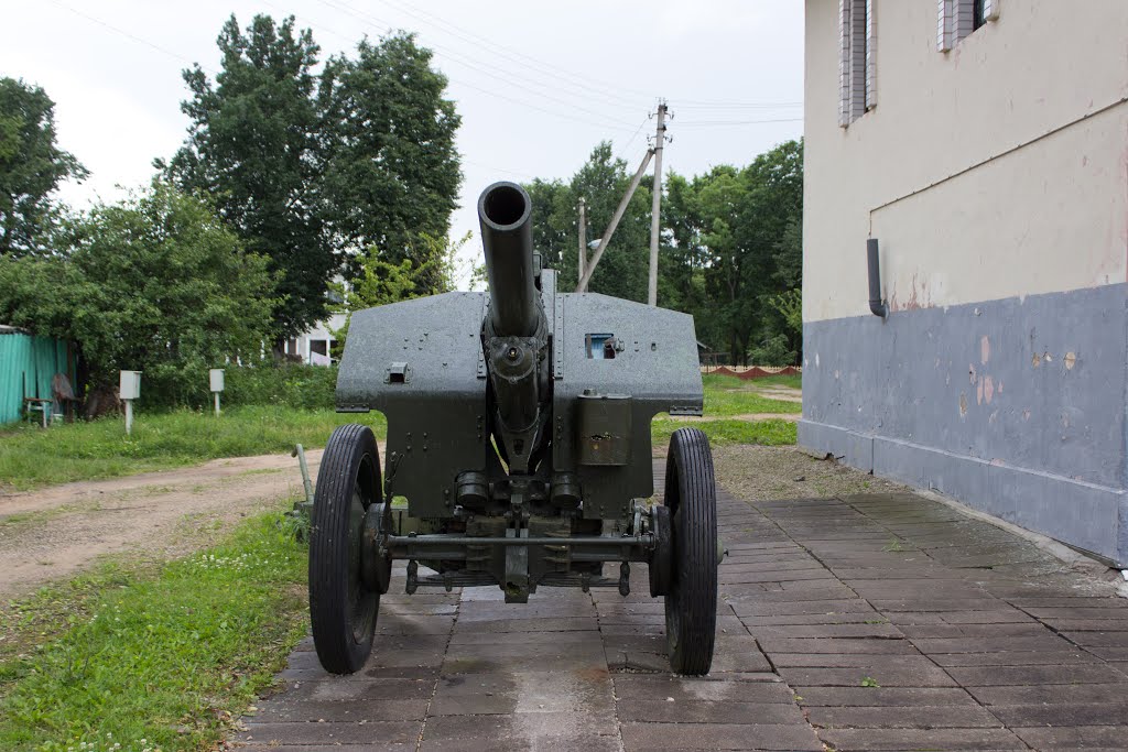 Бешенковичи. Пушка у краеведческого музея