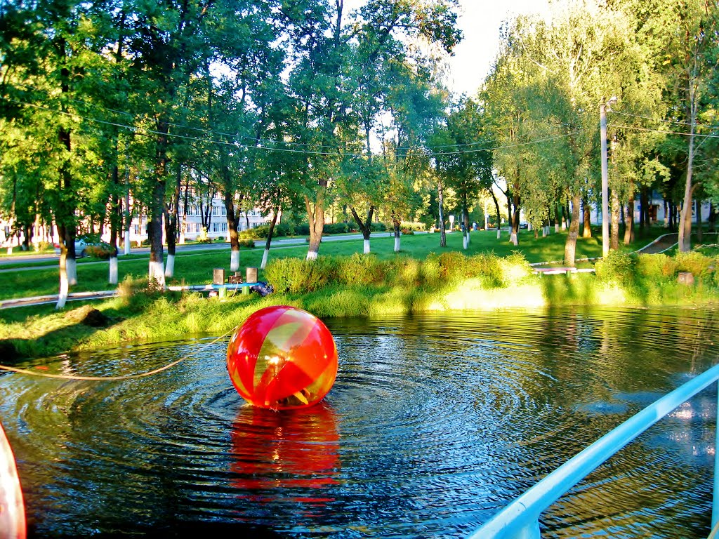 02.09.2012 18:48  Пруд в парке.