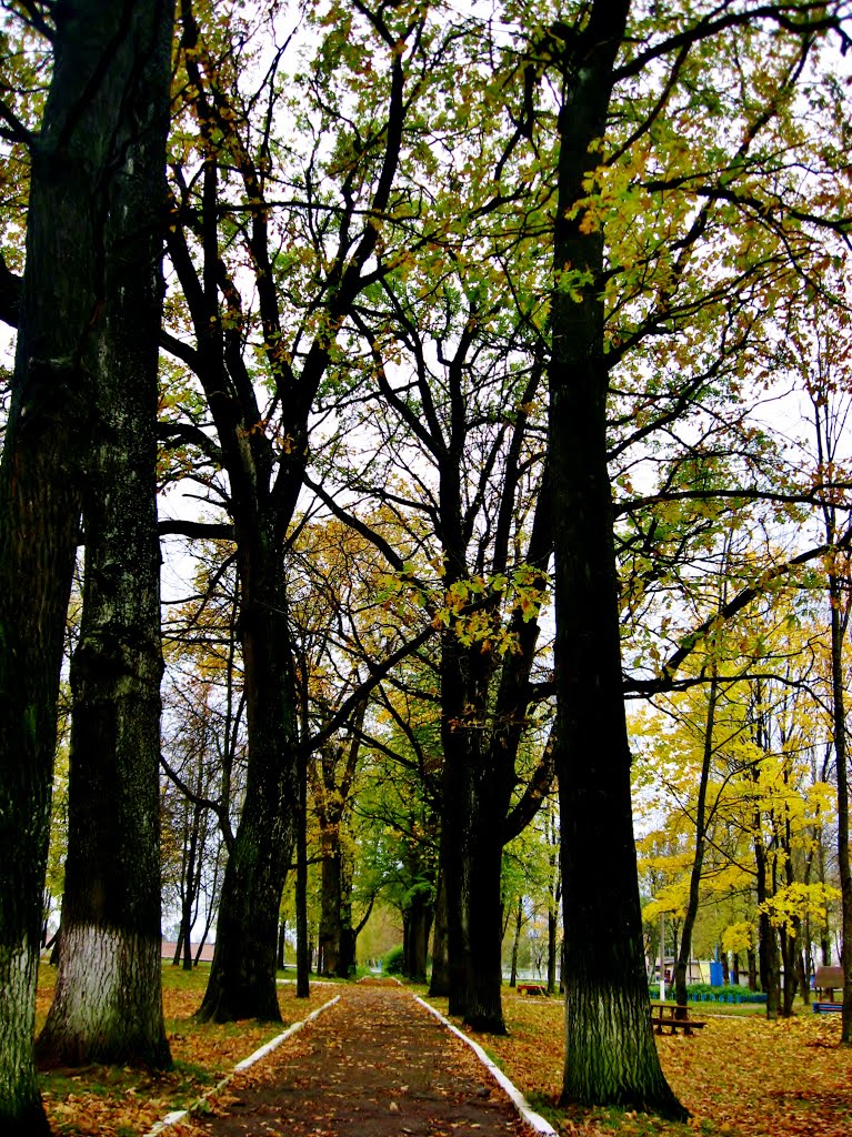 09.10.2012 13:06  Аллея дворцово-паркового комплекса бывшего поместья графа Иохима Хрептовича.