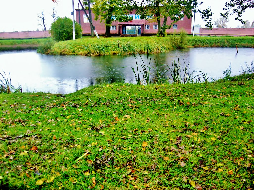 10.10.2012 14:48  Пруд у входа на стадион.