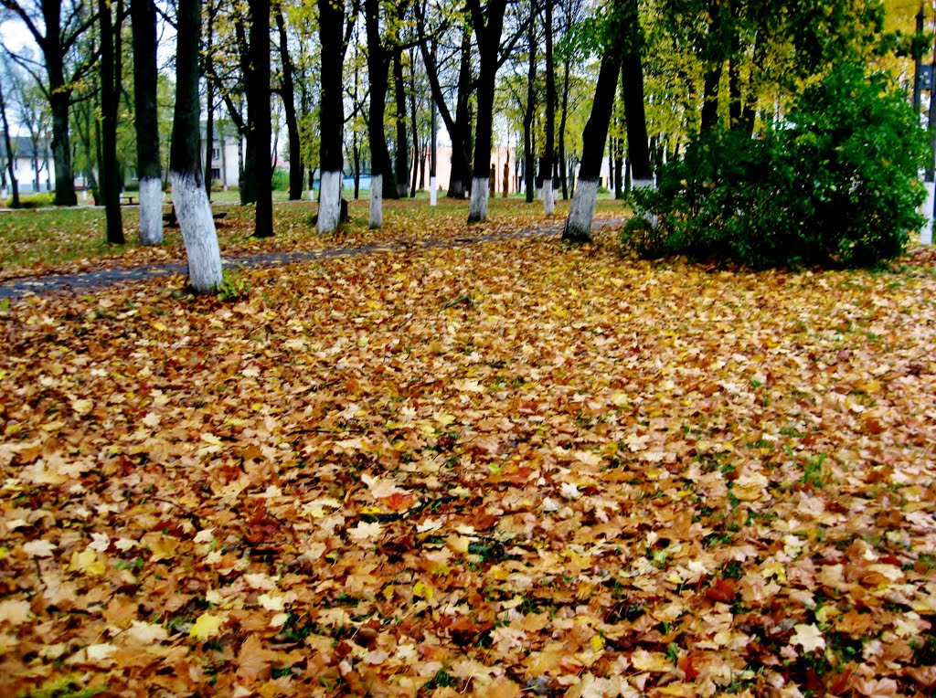 10.10.2012 14:49  Аллея парка, примыкающая к правому флигелю дворца графа Иоахима Хрептовича.