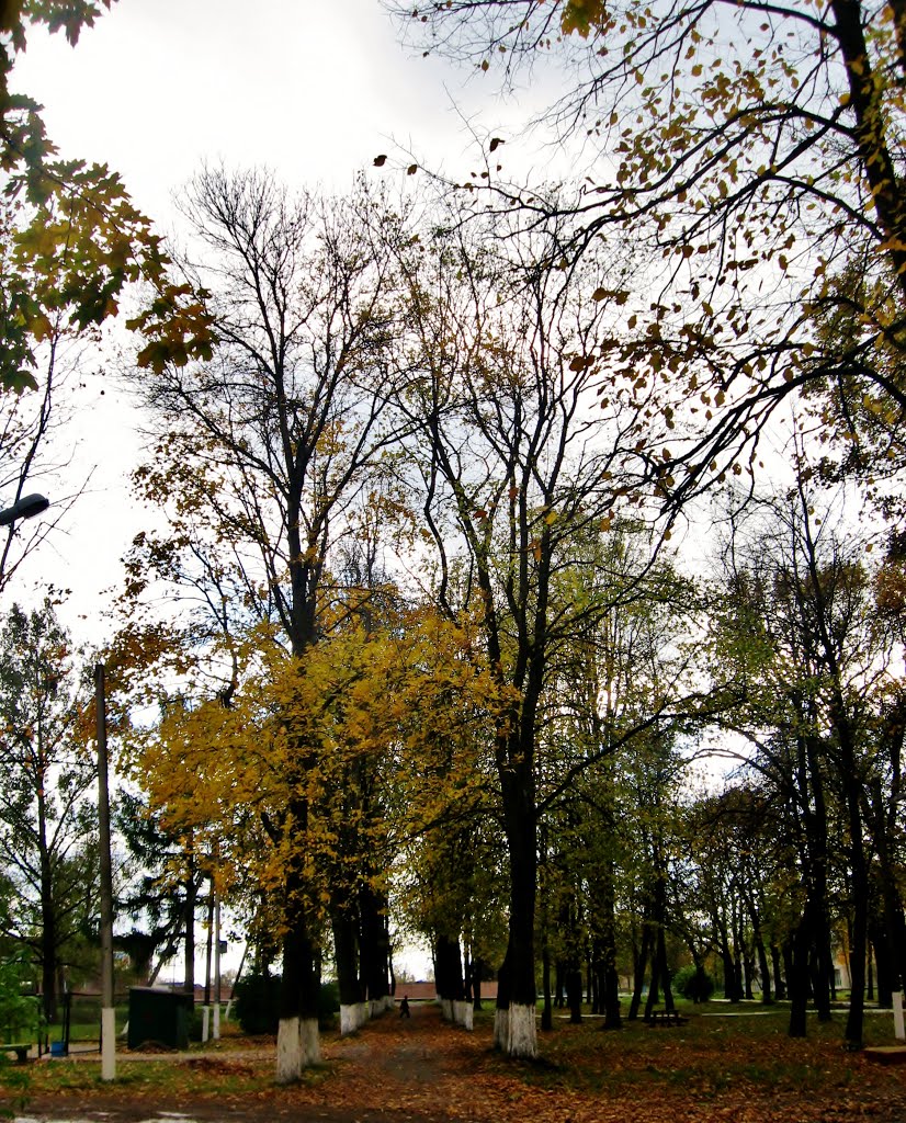 08.10.2012 15:28  Аллея к стадиону.