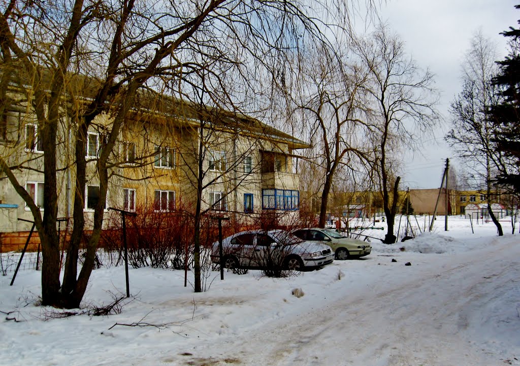 27.02.2013 13:44   Улица Молодёжная. Двухэтажный жилой дом.