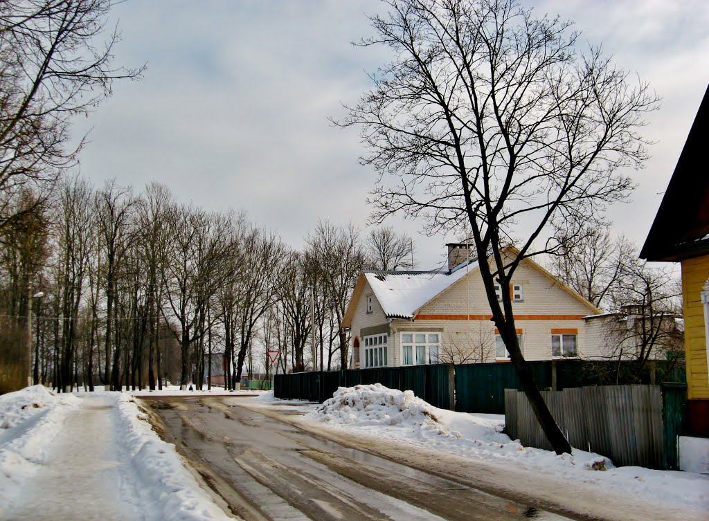 27.02.2013 13:56  Соединение улицы Карла Маркса с улицей Володарского, парком князя Хрептовича.