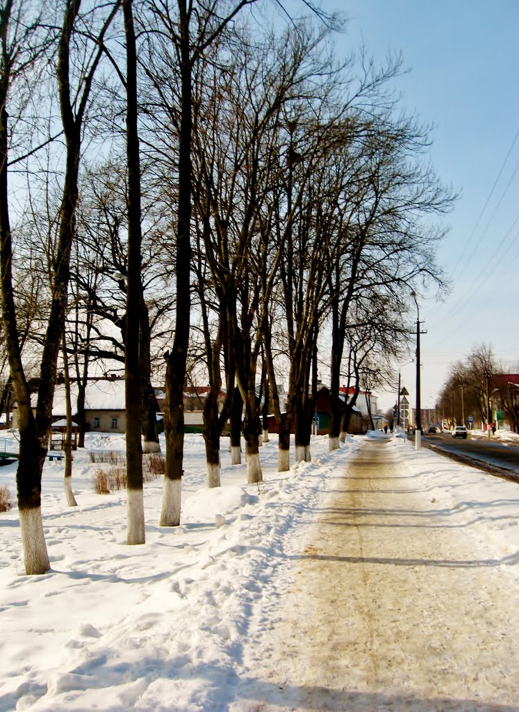 27.02.2013 14:35  Улица Коммунистическая. Вид вдоль парка в направлении улицы Володарского.