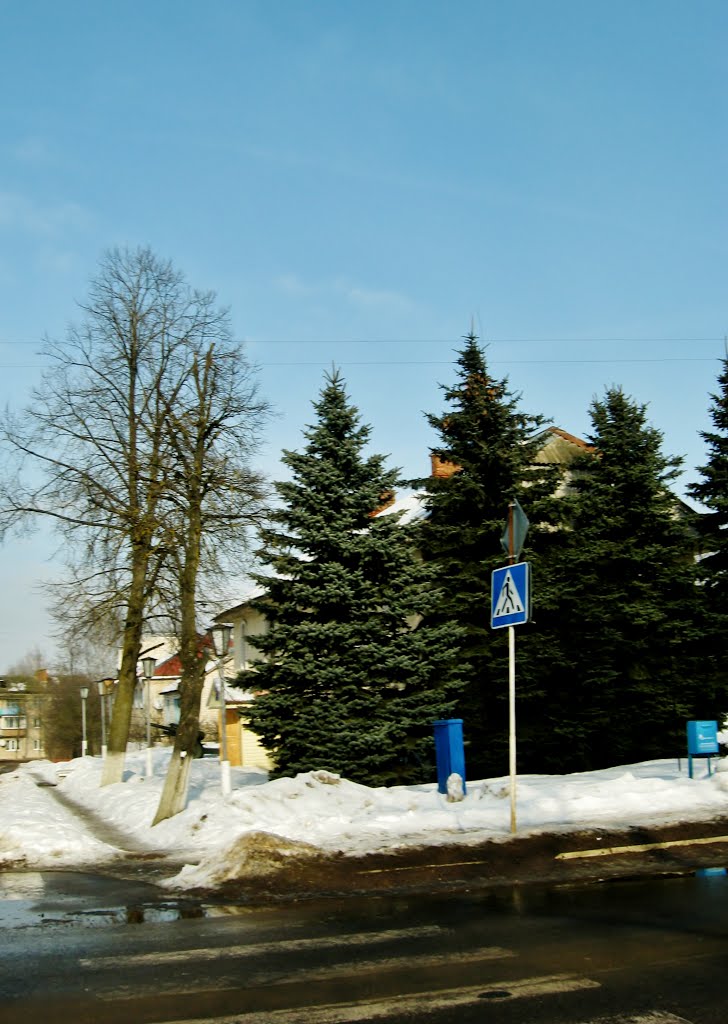 27.02.2013 14:36  Улица Коммунистическая. Пешеходный переход к зданию Краеведческого музея.