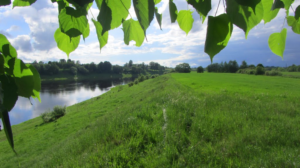 Поле в районе р Западная Двина