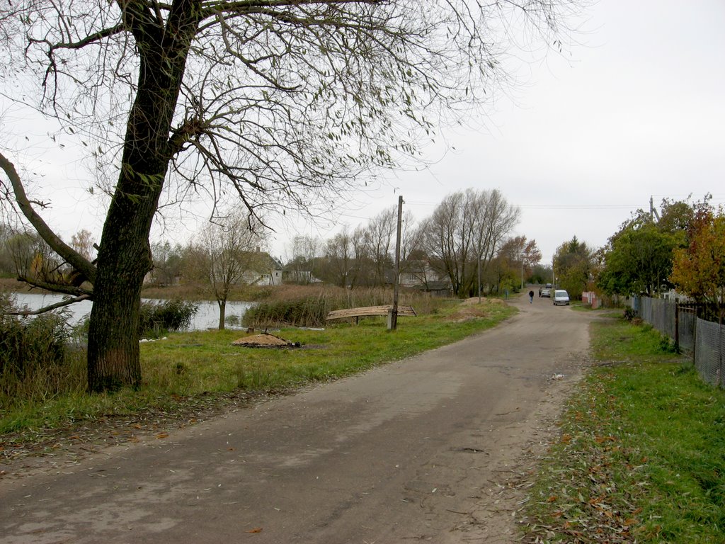 улица Браслава