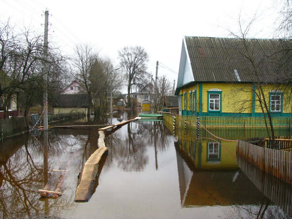 Разлив реки Дриса. Верхнедвинск. Dries River spill. Verkhnedvinsk.