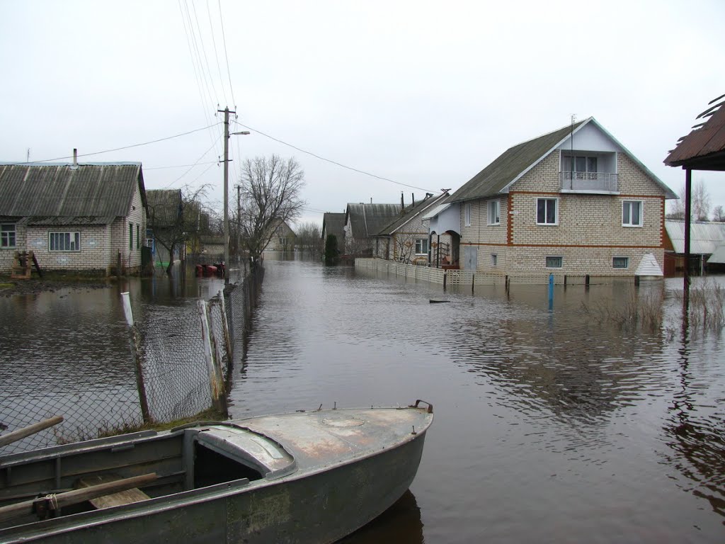 Разлив реки Дриса. Верхнедвинск. Dries River spill. Verkhnedvinsk.