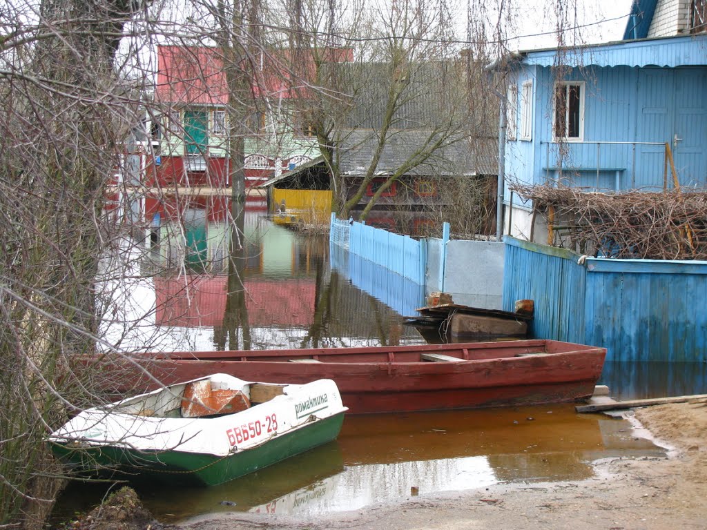 Весенний разлив реки Дрыса. Верхнедвинск. Drysa River spill. Verkhnedvinsk.