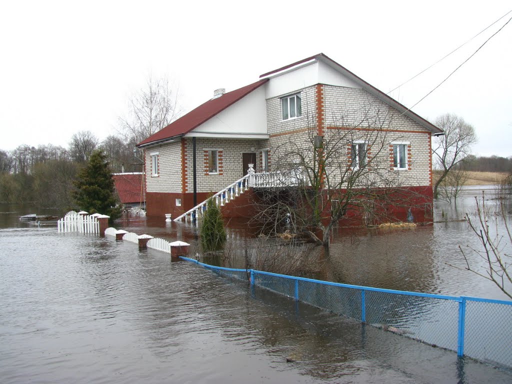 Весенний разлив реки Дрыса. Верхнедвинск. Drysa River spill. Verkhnedvinsk.