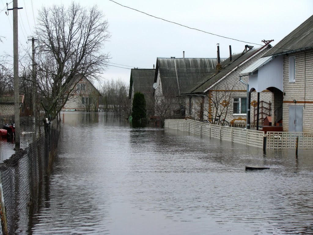 Весенний разлив реки Дрыса. Верхнедвинск. Drysa River spill. Verkhnedvinsk.