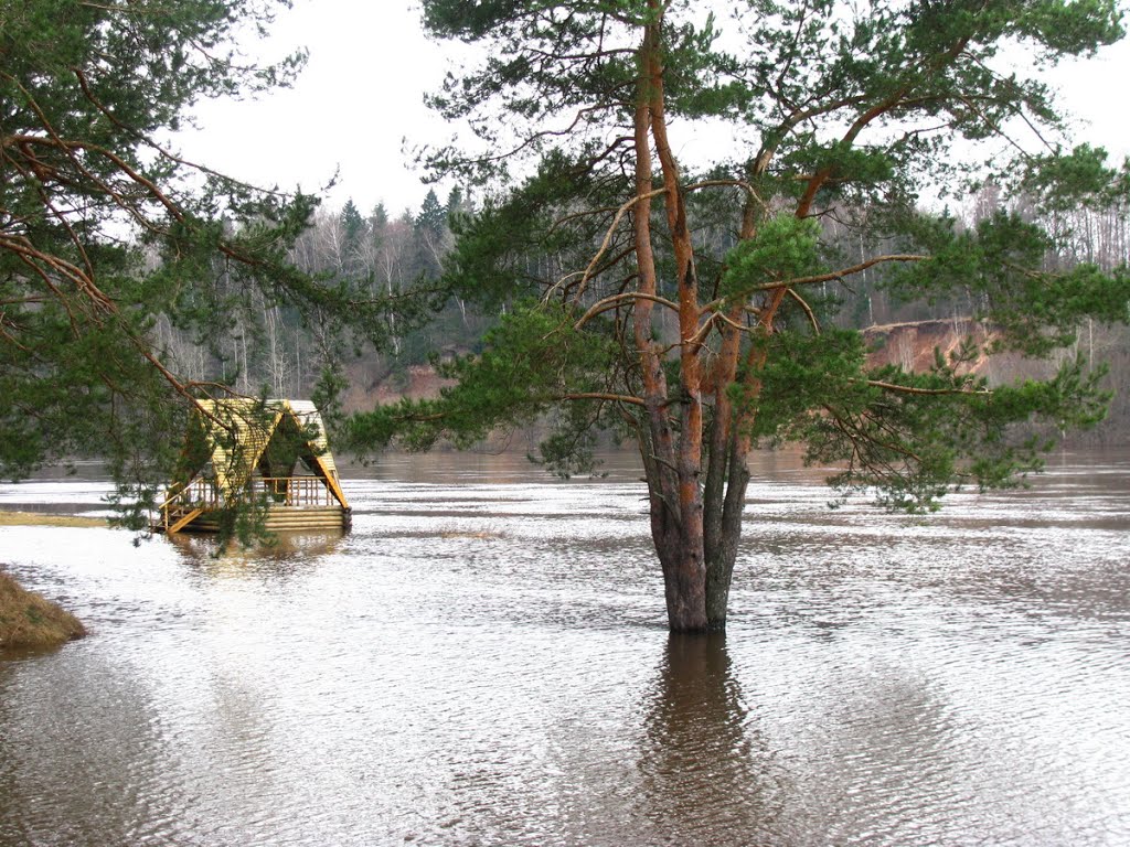 Река Двина. Паводок. Dvina River. Flooding.